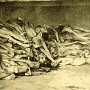 Stack of bodies in one of the buildings.