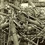 German weapons being destroyed.